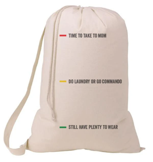 Laundry Status Grad Gift Laundry Bag, Humorous Laundry Bag, College Hamper, College Student Gift- Graduation Gift