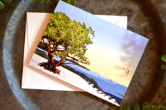 Carmel-by-the Sea California Coast Beach Wedding Thank You Notecard with A2 Envelope