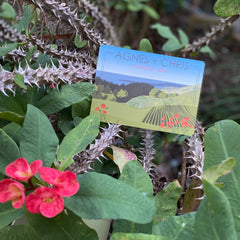 California Hills & Coast with Poppies Save the Date Postcards